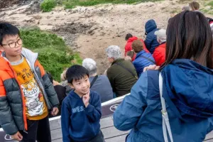 Phillip Island Tours