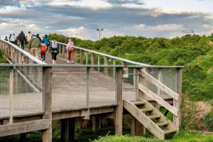 Phillip Island Tours