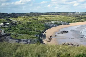 Phillip Island Tours