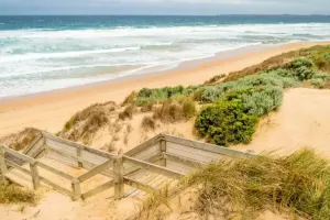 Phillip Island Tours