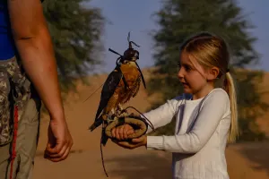 Dubai Falconry Safari Tours