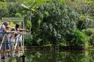 Rainforestation Nature Park Tickets