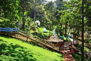Rock Beach Swing Tickets