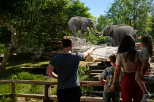 Rotterdam Zoo Tickets