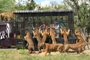 Safari World Bangkok Tickets