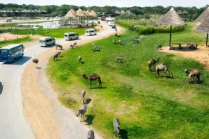 Safari World Bangkok Tickets