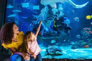 SEA LIFE Grapevine Aquarium Tickets