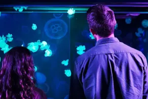 SEA LIFE Grapevine Aquarium Tickets
