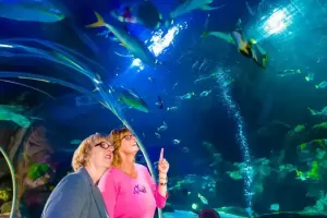SEA LIFE Munich Aquarium Tickets
