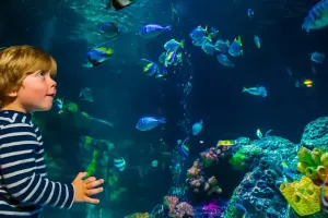 SEA LIFE Munich Aquarium Tickets
