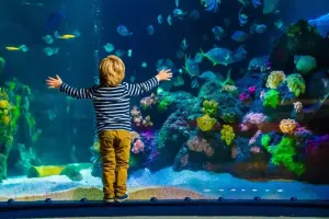 SEA LIFE Munich Aquarium Tickets
