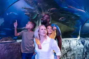 SEA LIFE San Antonio Tickets
