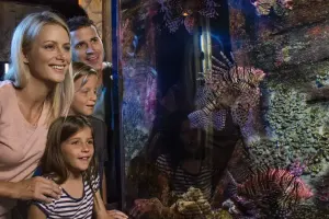 SEA LIFE Sunshine Coast Aquarium Tickets