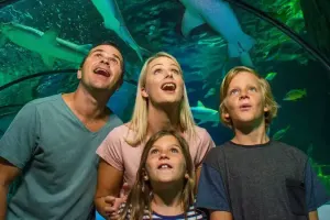 SEA LIFE Sunshine Coast Aquarium Tickets