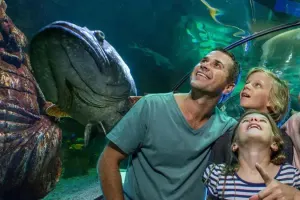 SEA LIFE Sunshine Coast Aquarium Tickets