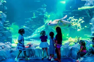 SEA LIFE Sydney Aquarium Tickets