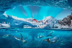 SeaWorld Abu Dhabi Tickets