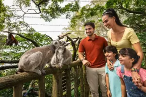 Singapore Zoo Tickets