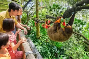 Singapore Zoo Tickets