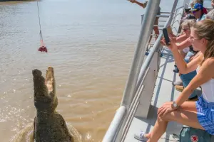 Spectacular Jumping Crocodile Cruise Tickets
