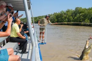 Spectacular Jumping Crocodile Cruise Tickets