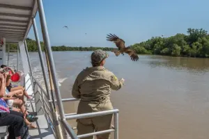 Spectacular Jumping Crocodile Cruise Tickets