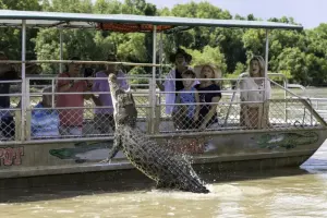 Spectacular Jumping Crocodile Cruise Tickets