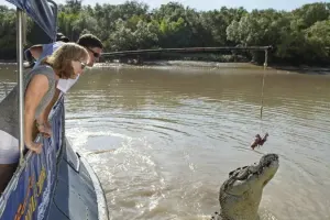 Spectacular Jumping Crocodile Cruise Tickets