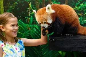Sydney Zoo Tickets