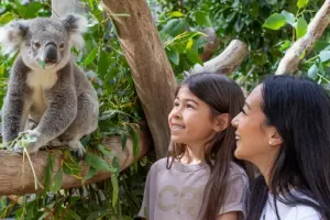 Sydney Zoo Tickets