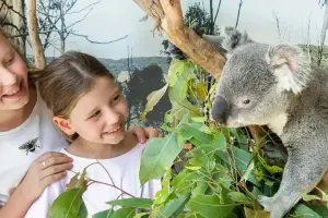 Sydney Zoo Tickets