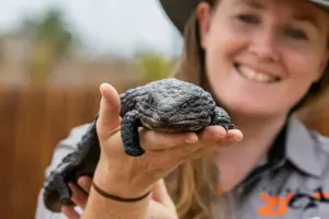 Sydney Zoo Tickets