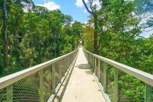 The Habitat Penang Hill Tickets