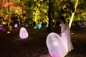 Teamlab Botanical Garden Osaka Tickets