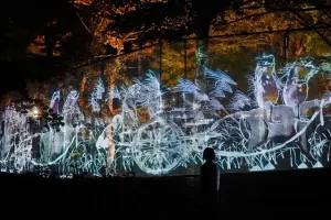 Teamlab Botanical Garden Osaka Tickets