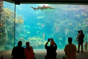 The Florida Aquarium Tickets