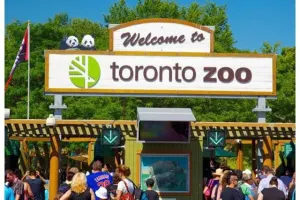 Toronto Zoo Tickets