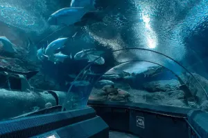 Underwater World Pattaya Tickets