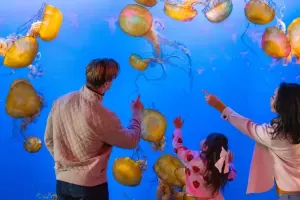 Vancouver Aquarium Tickets