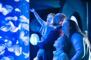 Vancouver Aquarium Tickets