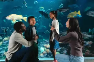 Vancouver Aquarium Tickets