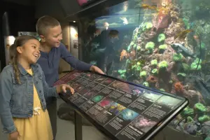 Vancouver Aquarium Tickets