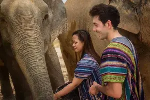 Elephant Jungle Sanctuary Pattaya Tours