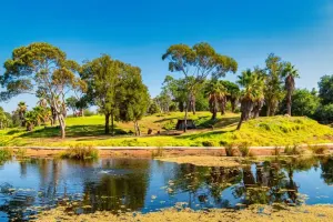 Werribee Open Range Zoo Tickets