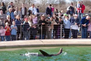 Whipsnade Zoo Tickets