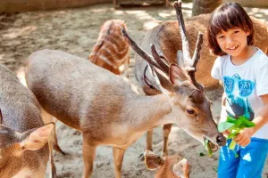Bali Zoo Tickets