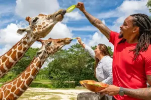 Zoo Miami Tickets