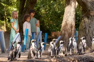 ZooParc Tickets