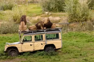 ZooParc Tickets