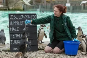 ZSL London Zoo Tickets